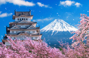 Fuji Mountains and Castle, Japan